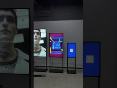 Hiển thị cửa sổ cao độ sáng 43 inch